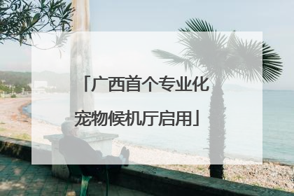 广西首个专业化宠物候机厅启用